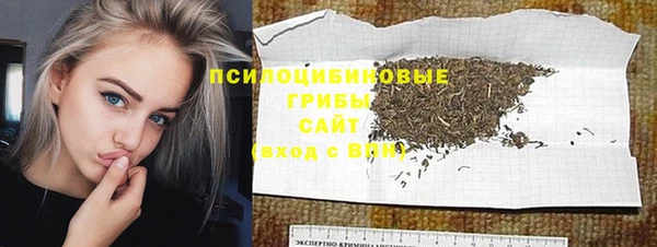 a pvp Алексин