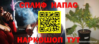 ешки Пугачёв