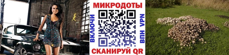 Галлюциногенные грибы прущие грибы  купить закладку  ссылка на мегу онион  Чернушка 