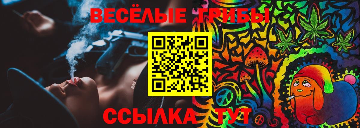 Галлюциногенные грибы ЛСД Чернушка